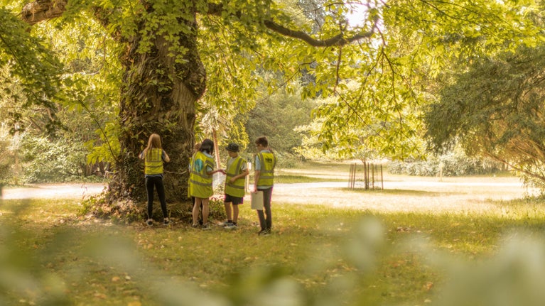 School children measuring and calculating tree height and age at the Next Generation Nature workshop in Tyntesfield, Somerset